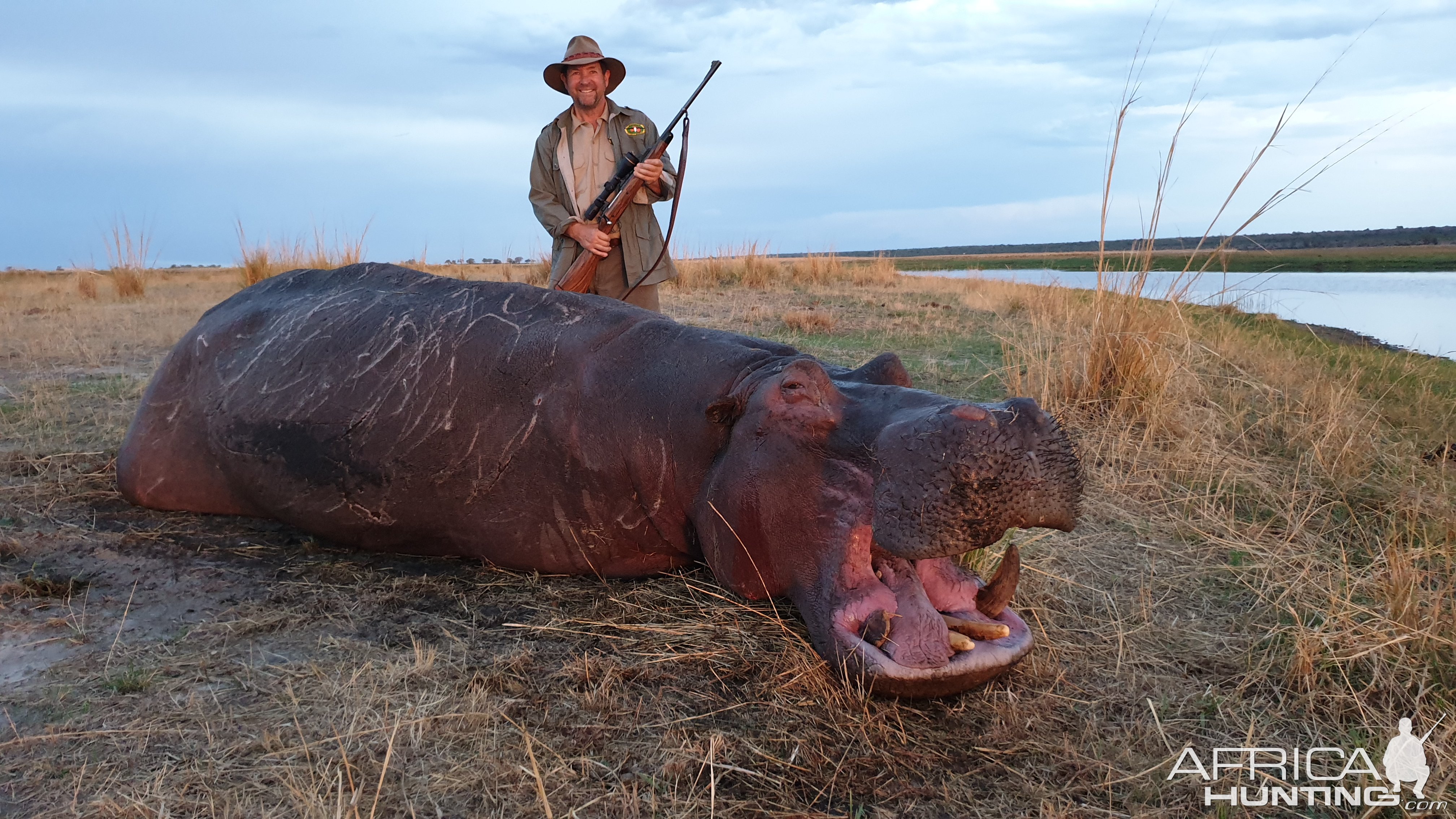 Hippo Hunt Caprivi Namibia