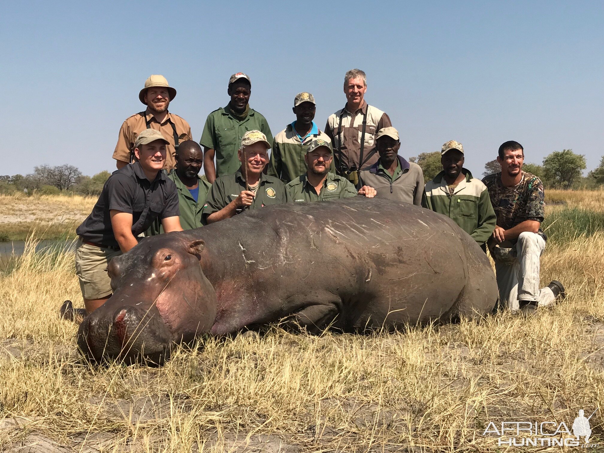 Hippo Hunt Caprivi Namibia