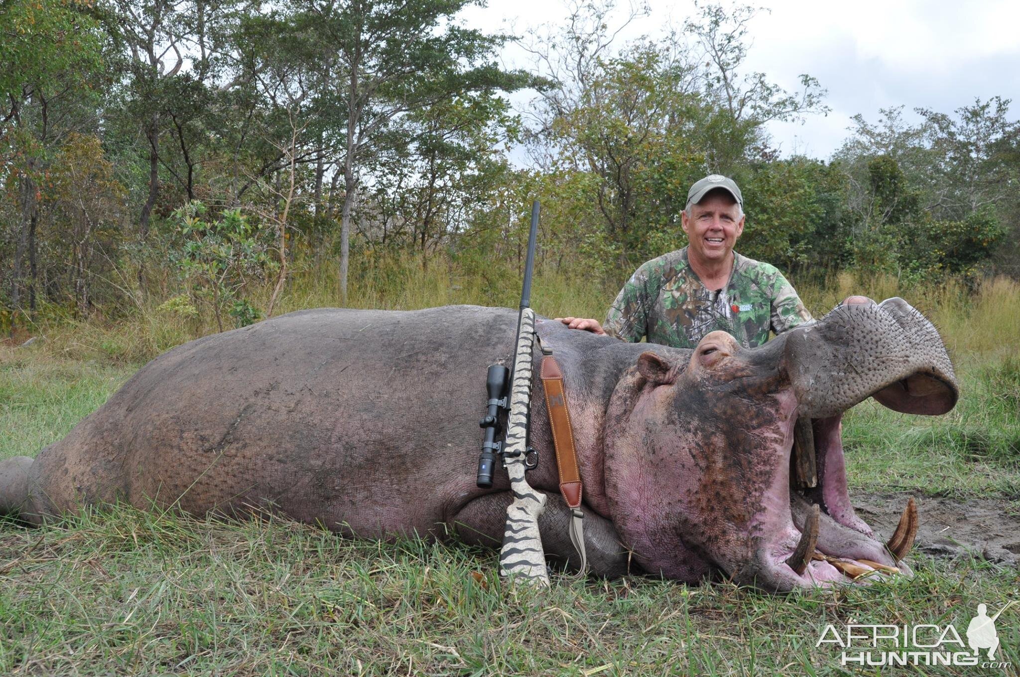 Hippo Hunt In Tanzania