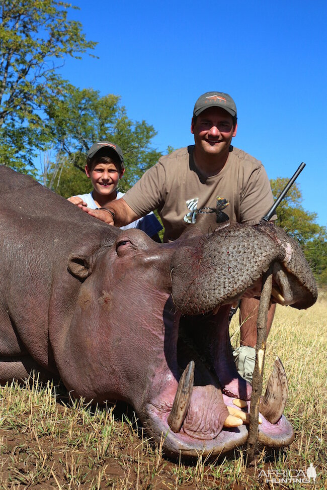 Hippo Hunt In Zimbabwe