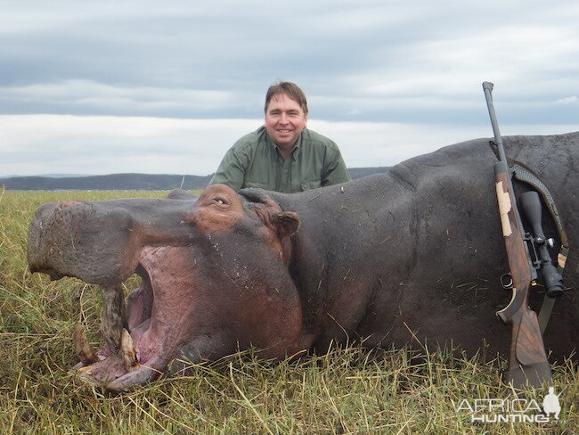 Hippo Hunt In Zimbabwe