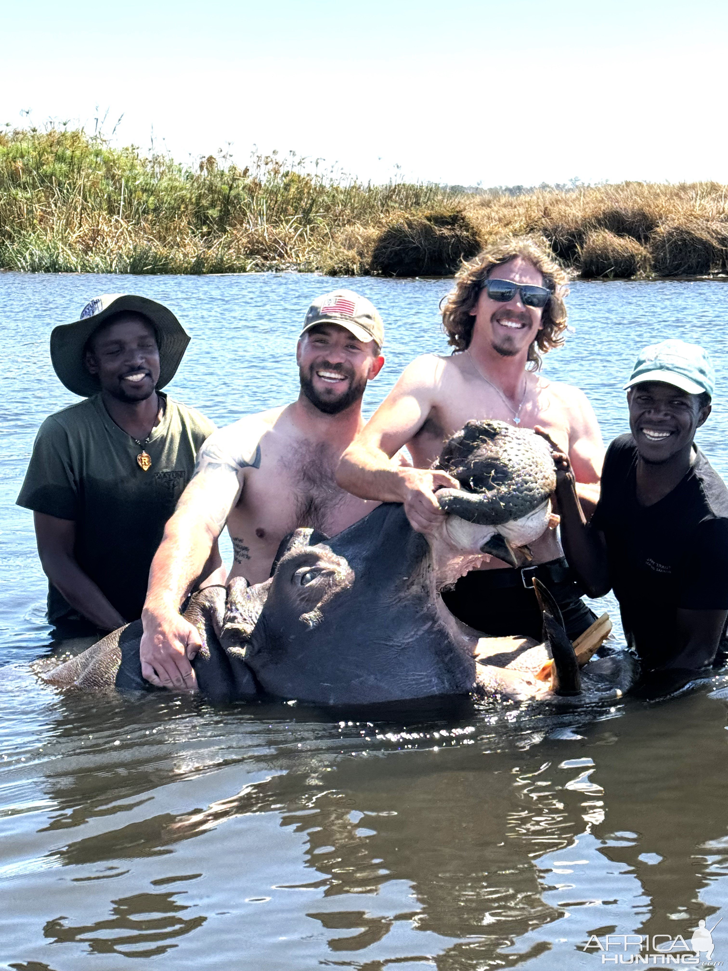 Hippo Hunt Namibia