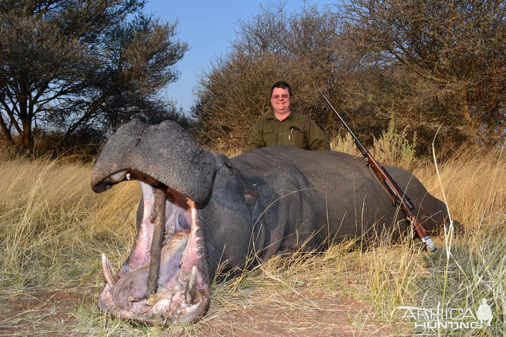 Hippo Hunt Namibia