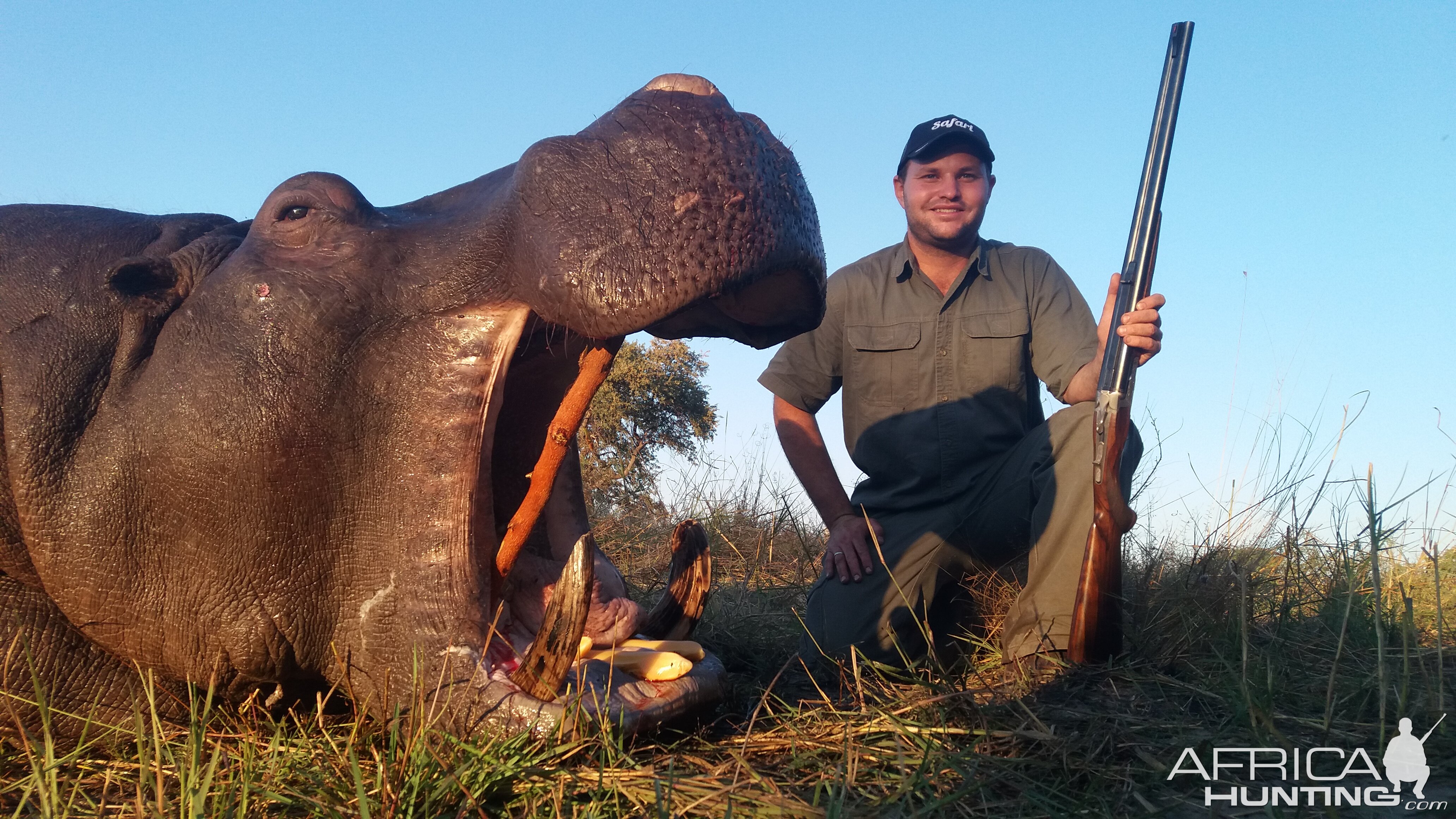 Hippo Hunt Namibia