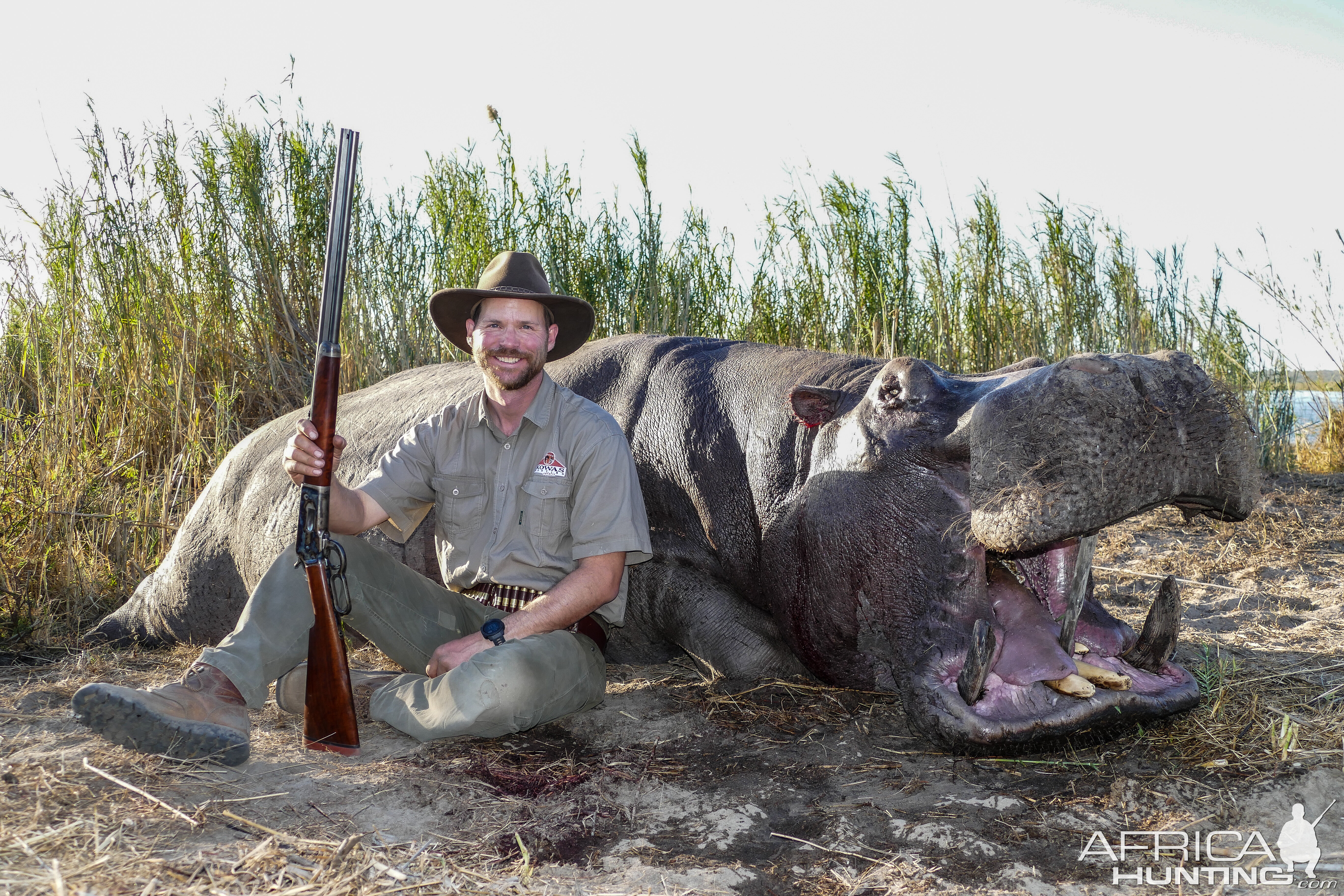 Hippo Hunt Namibia