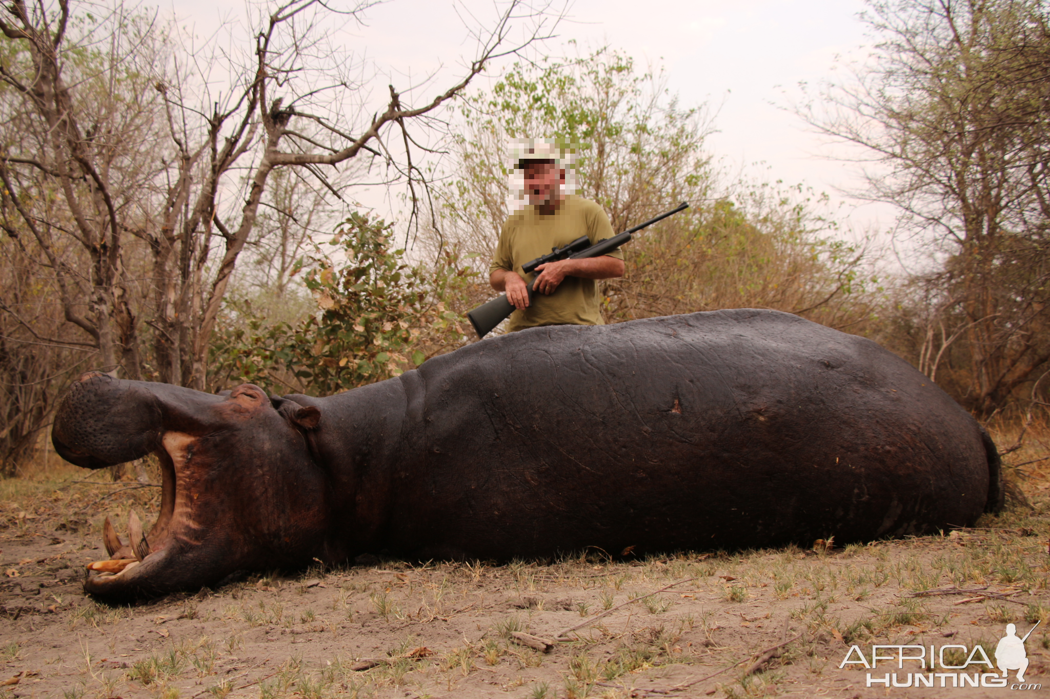 Hippo Hunt Namibia