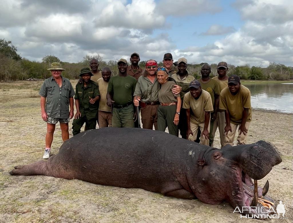 Hippo Hunt Selous Tanzania