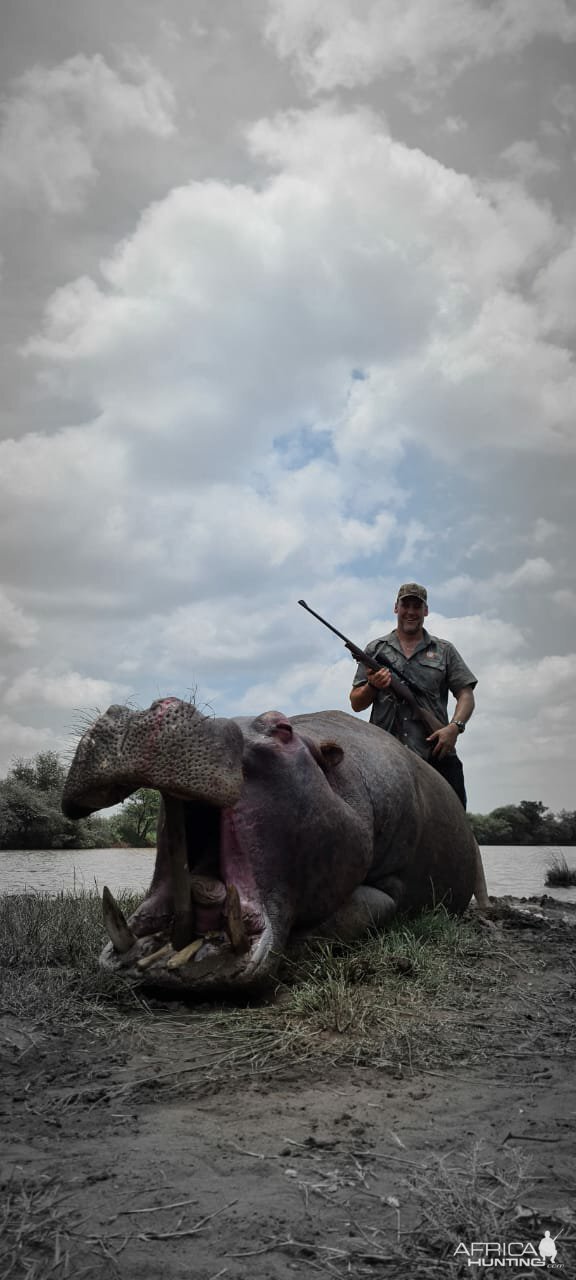 Hippo Hunt South Africa