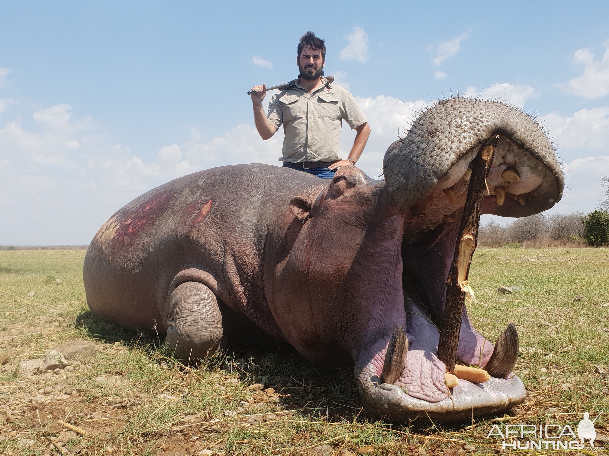 Hippo Hunt South Africa