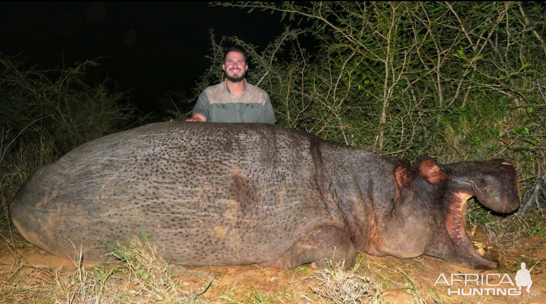 Hippo Hunt South Africa