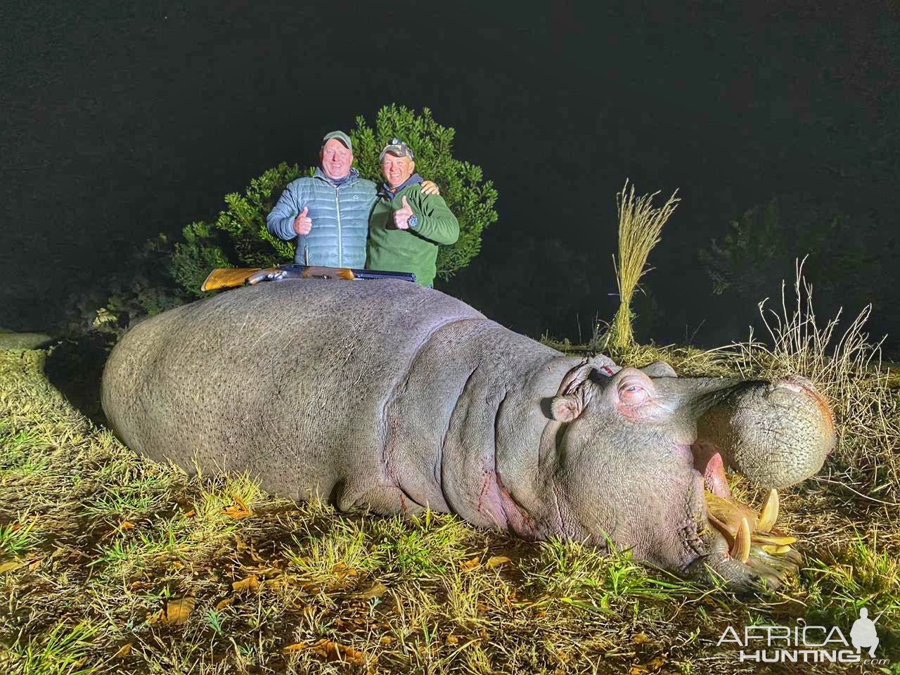 Hippo Hunt South Africa