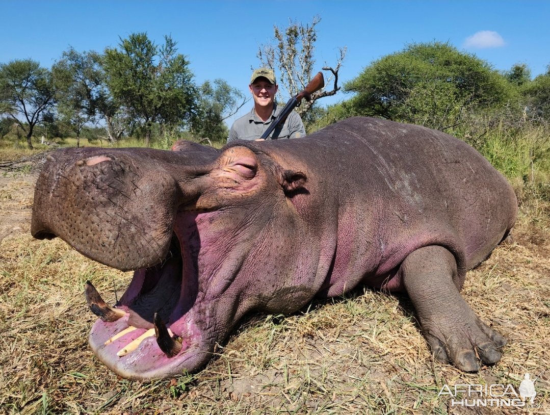 Hippo Hunt South Africa