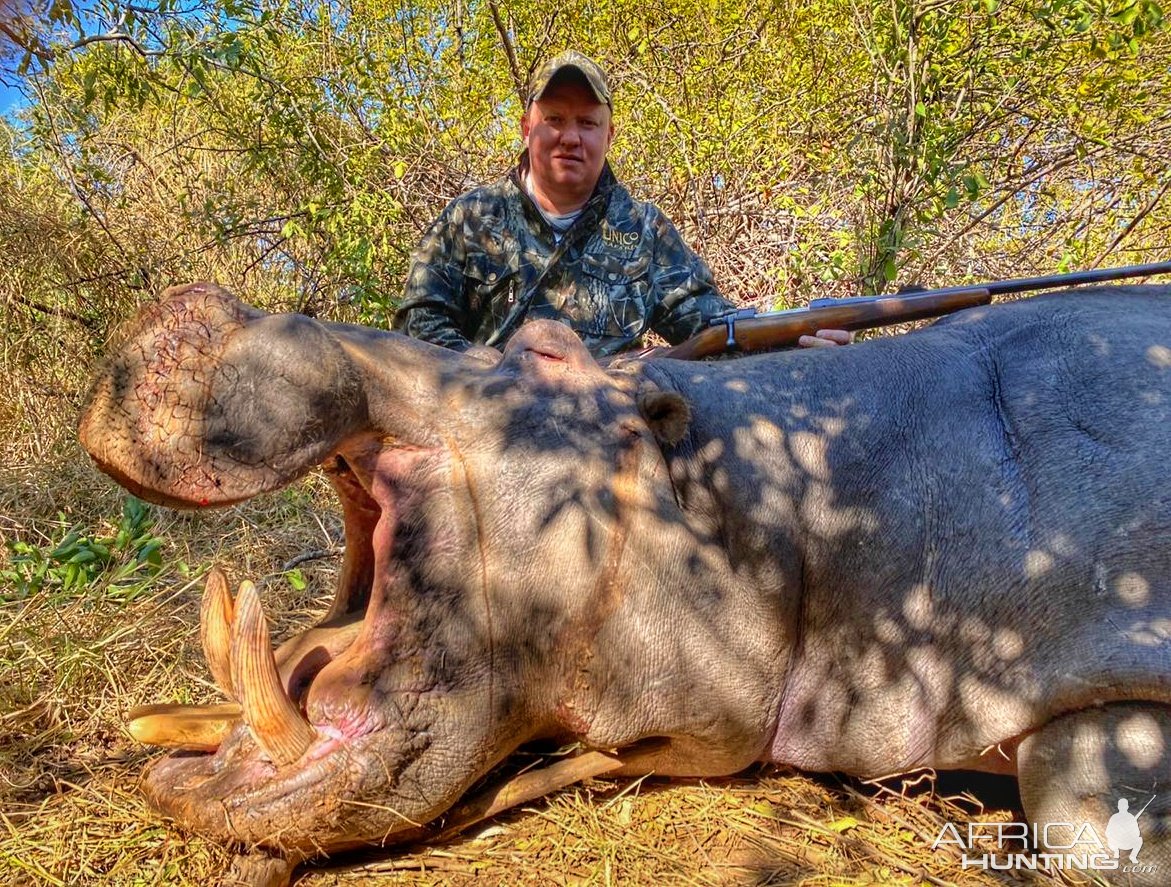 Hippo Hunt South Africa