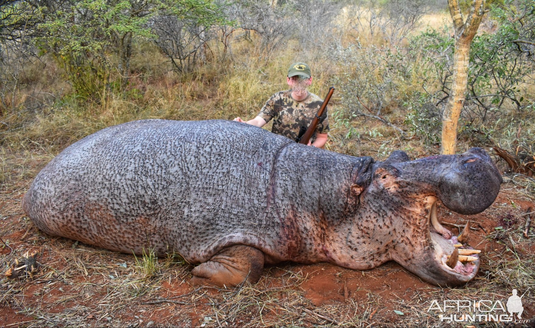 Hippo Hunt South Africa