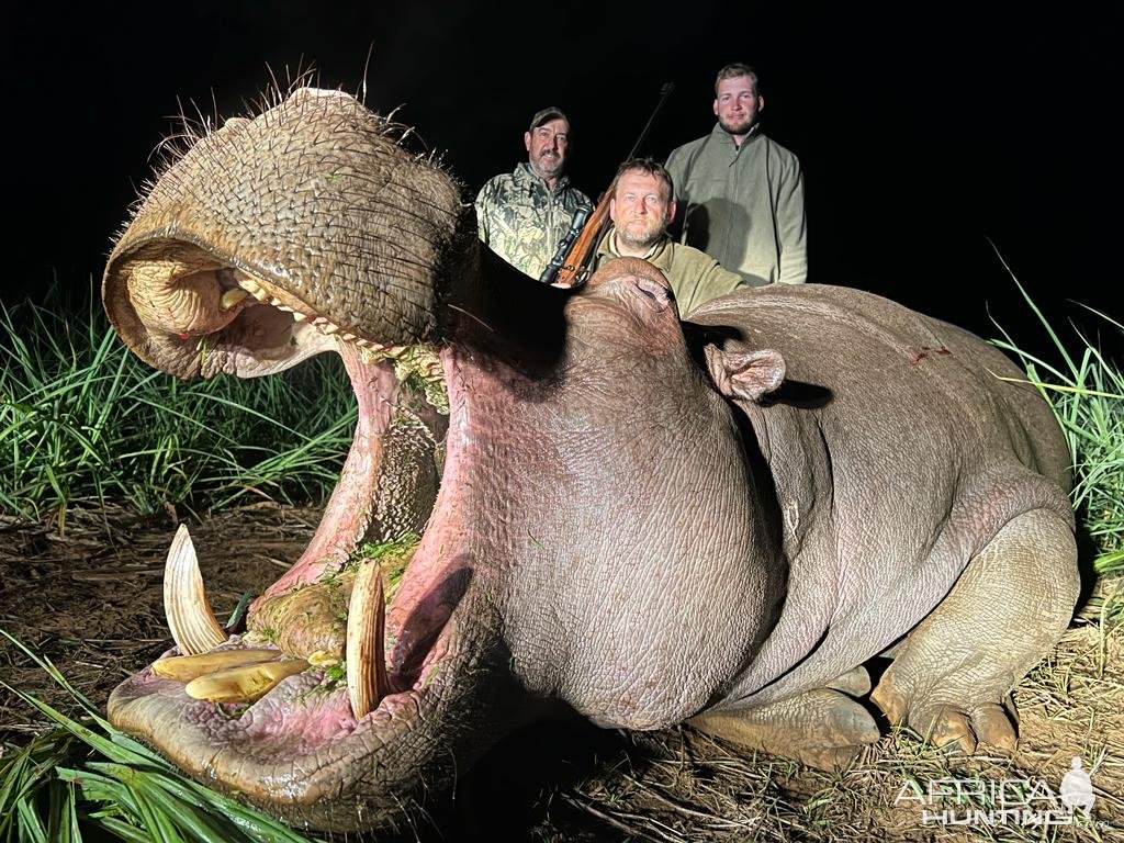 Hippo Hunt South Africa