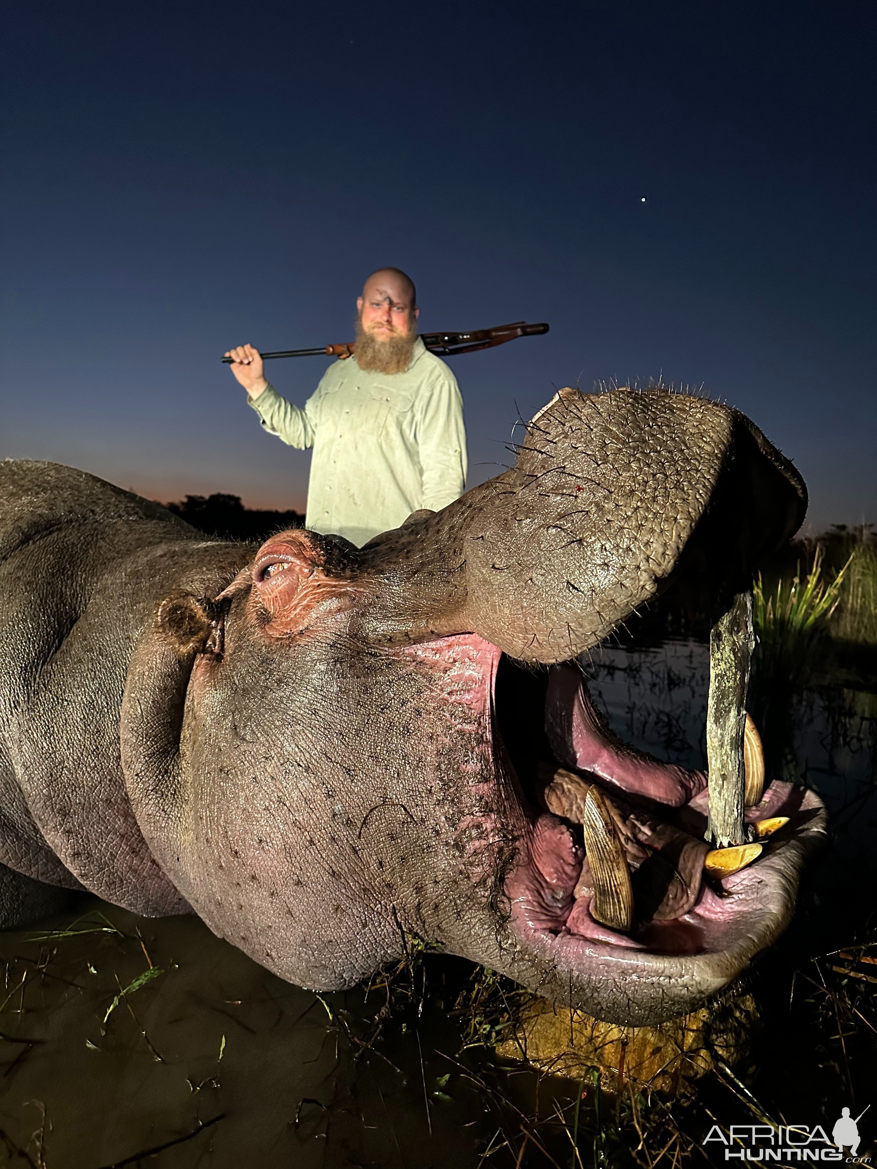 Hippo Hunt South Africa