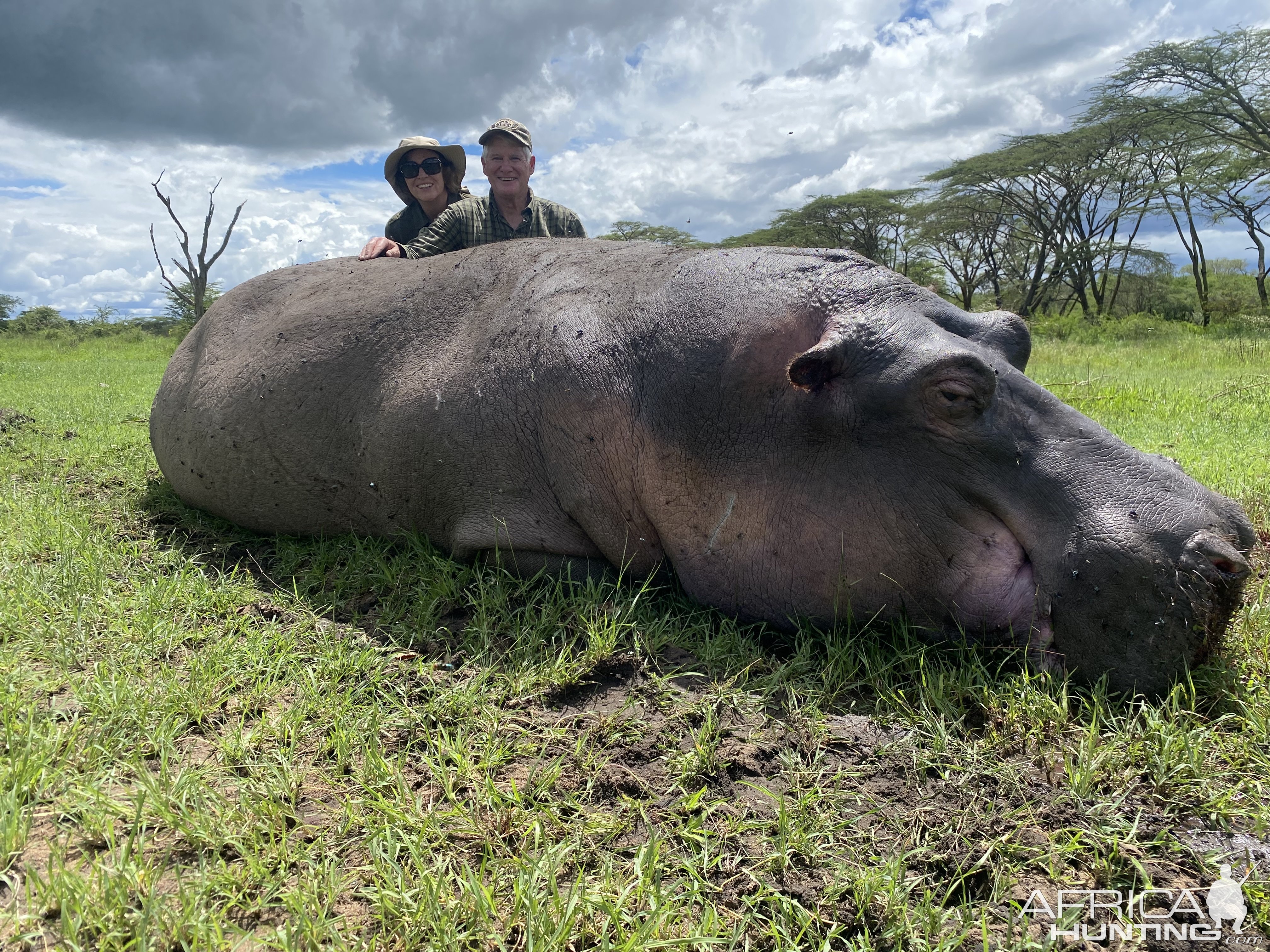 Hippo Hunt Tanzania