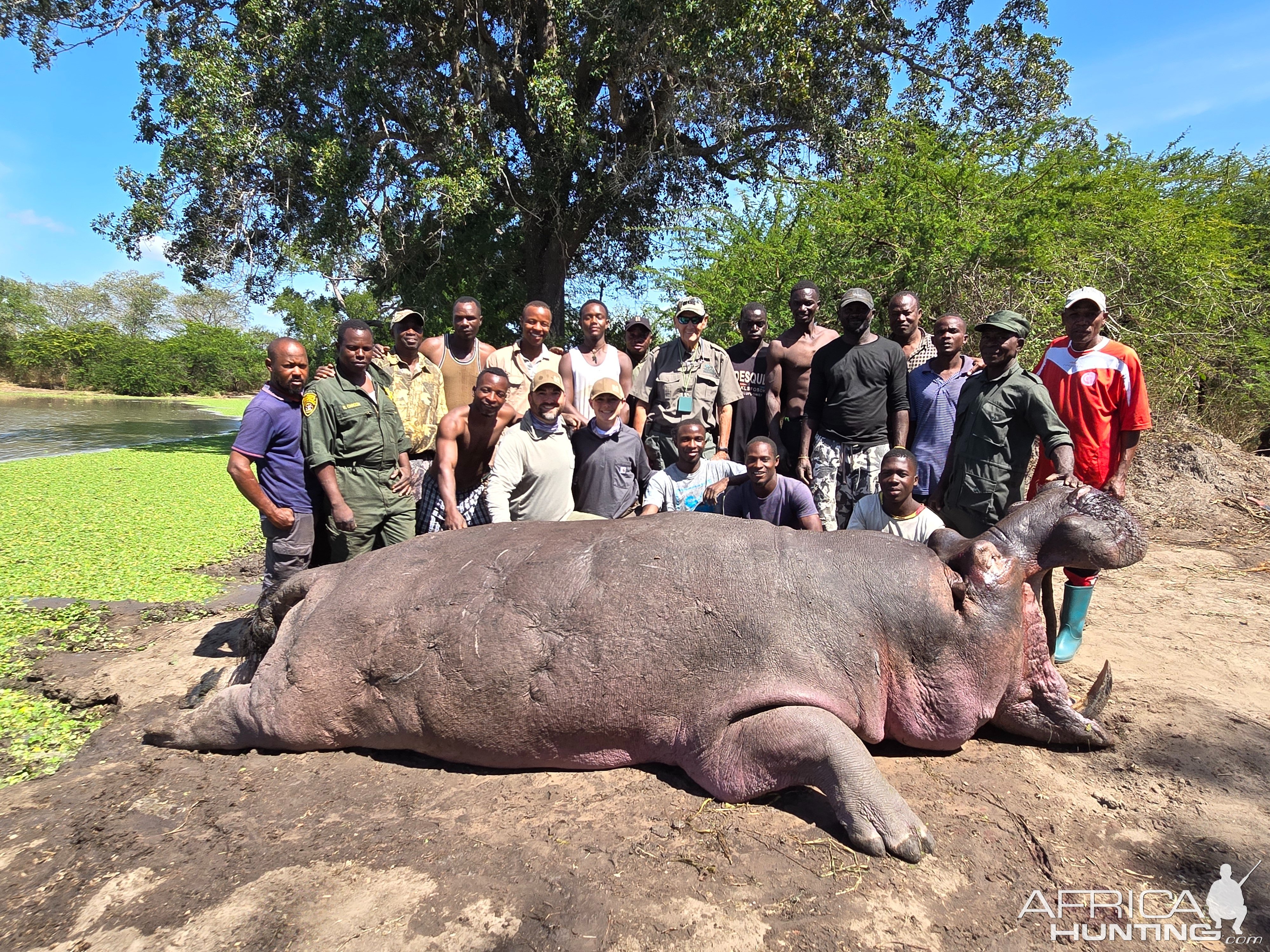 Hippo Hunt Tanzania