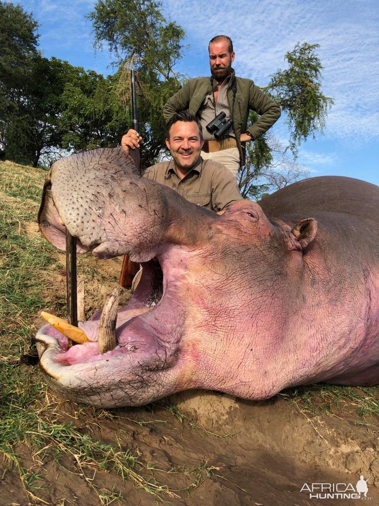 Hippo Hunt Zambia