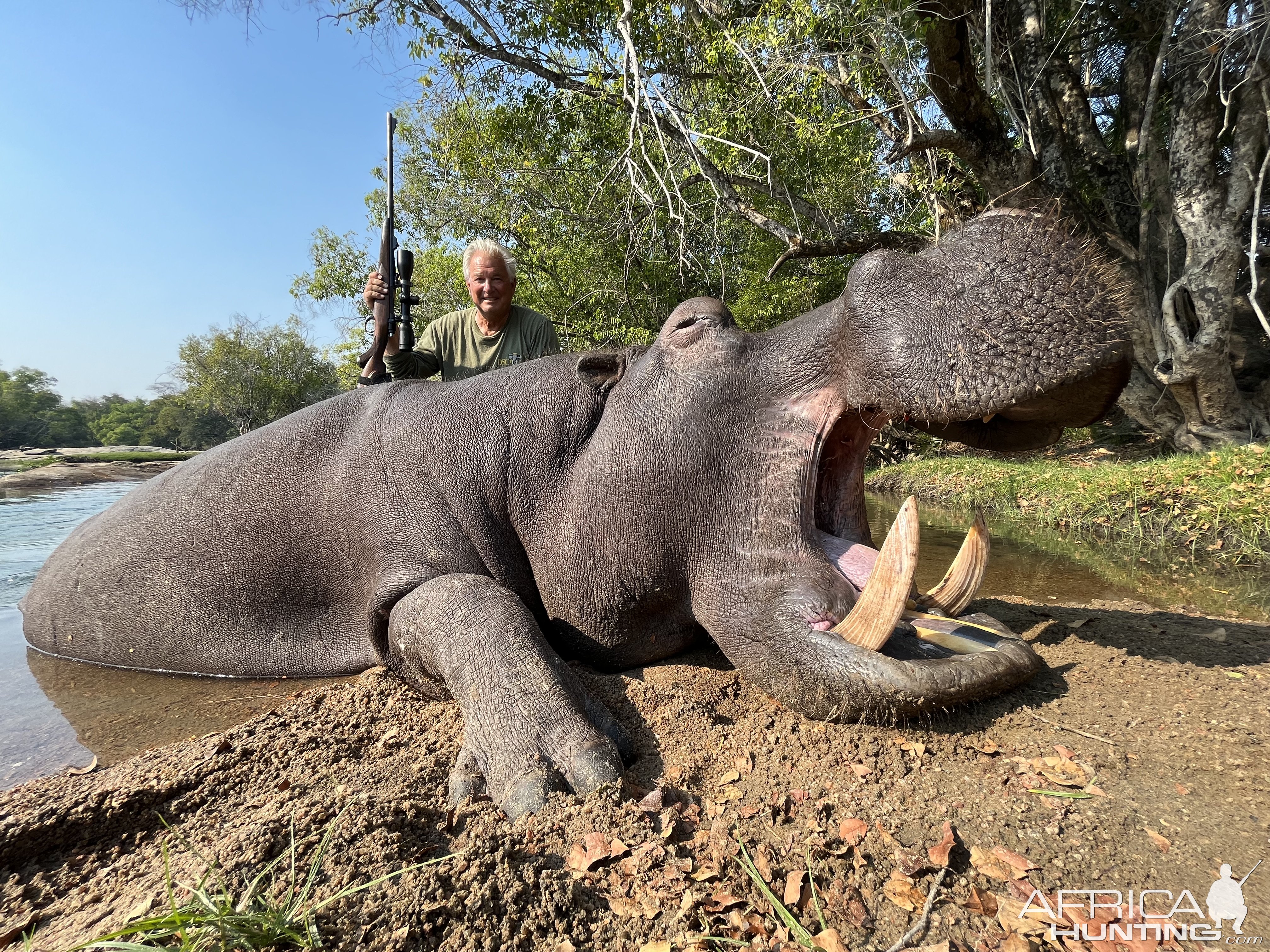 Hippo Hunt Zambia