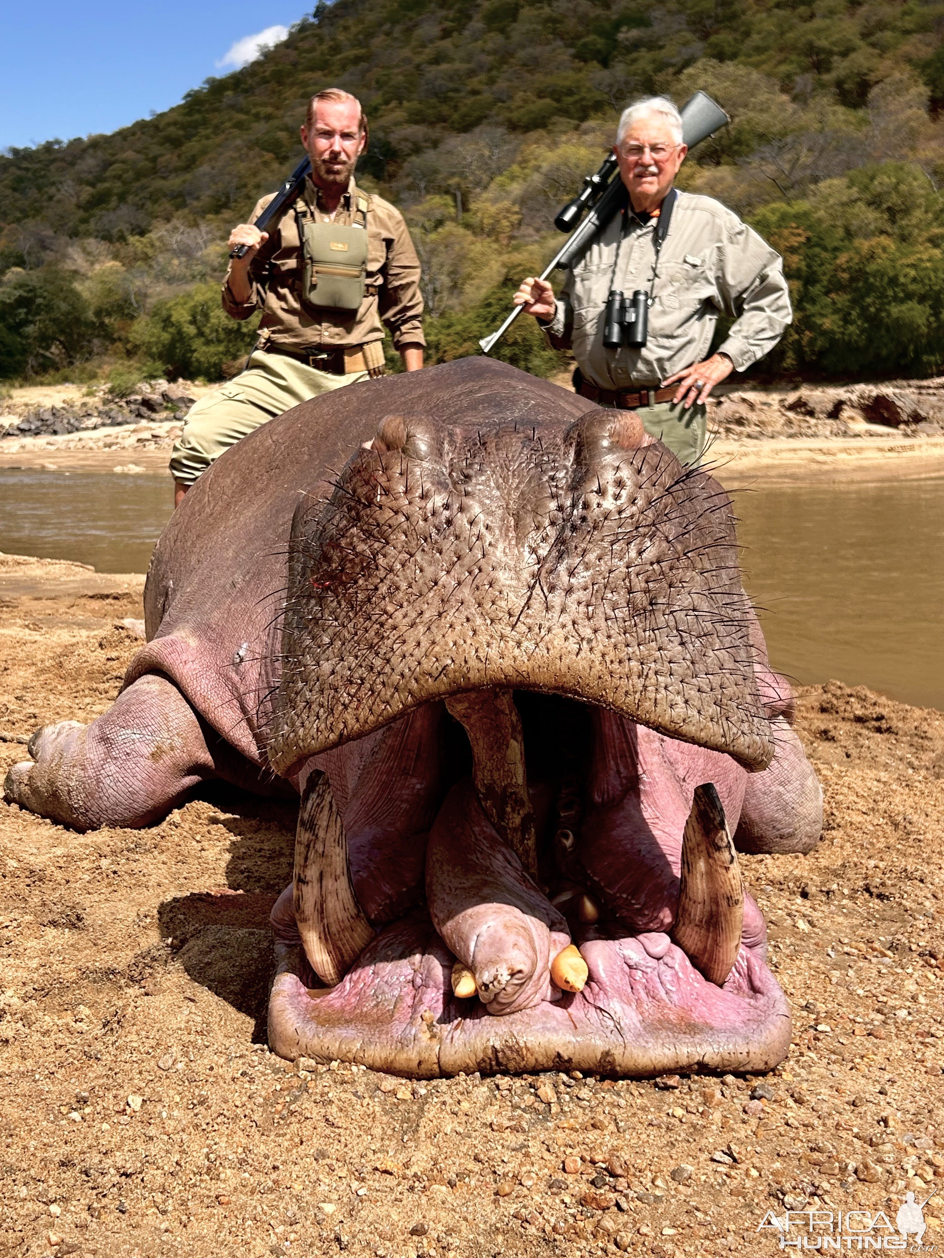 Hippo Hunt Zambia