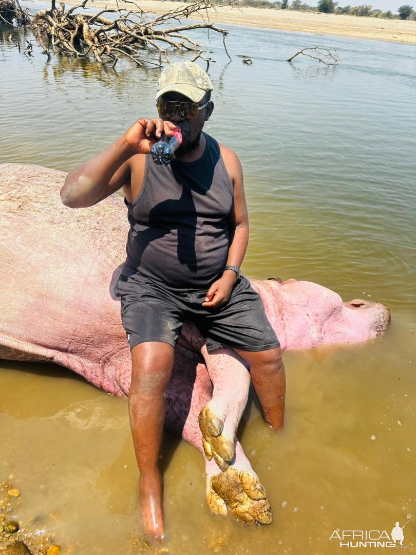 Hippo Hunt Zambia