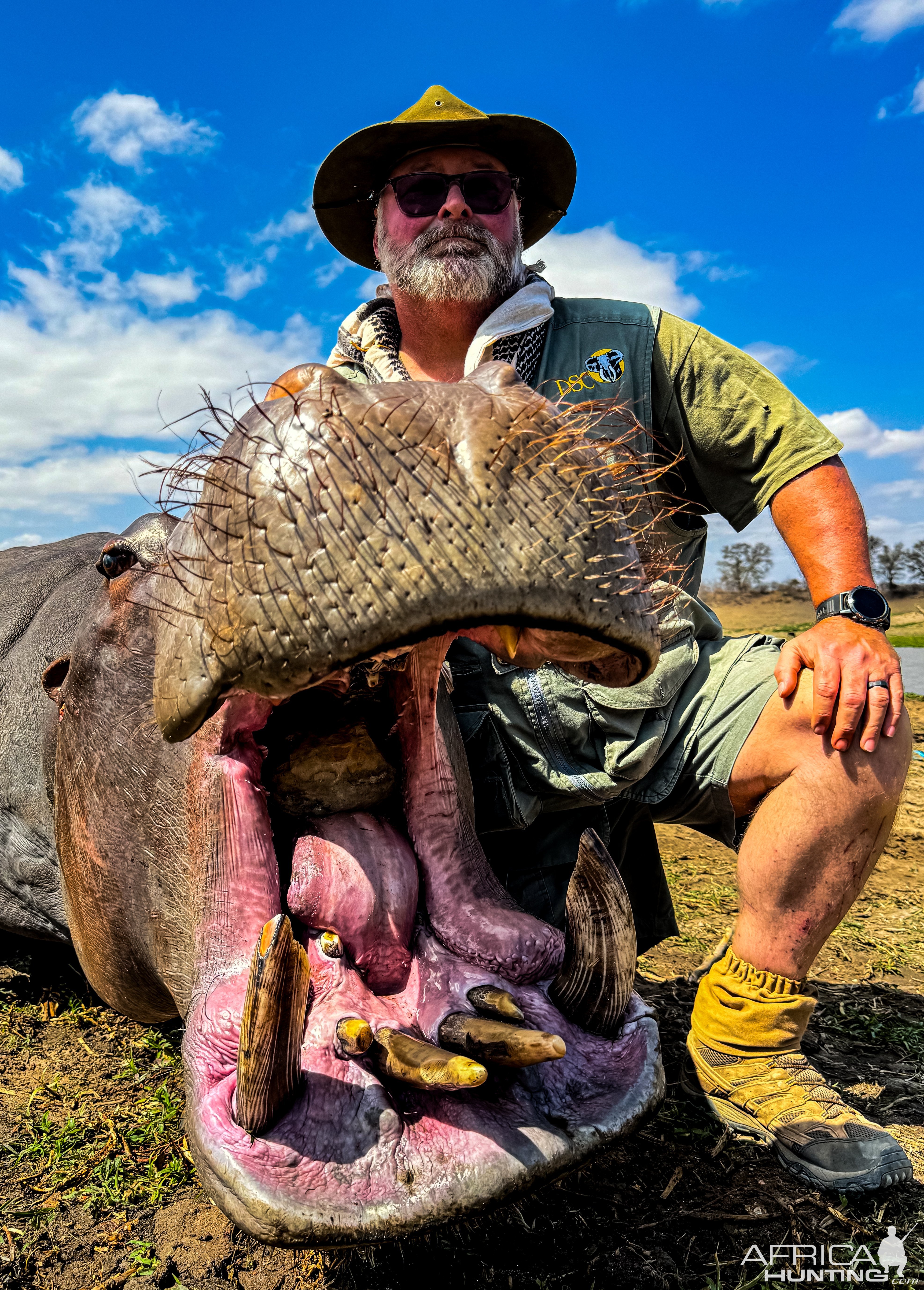 Hippo Hunt Zimbabwe