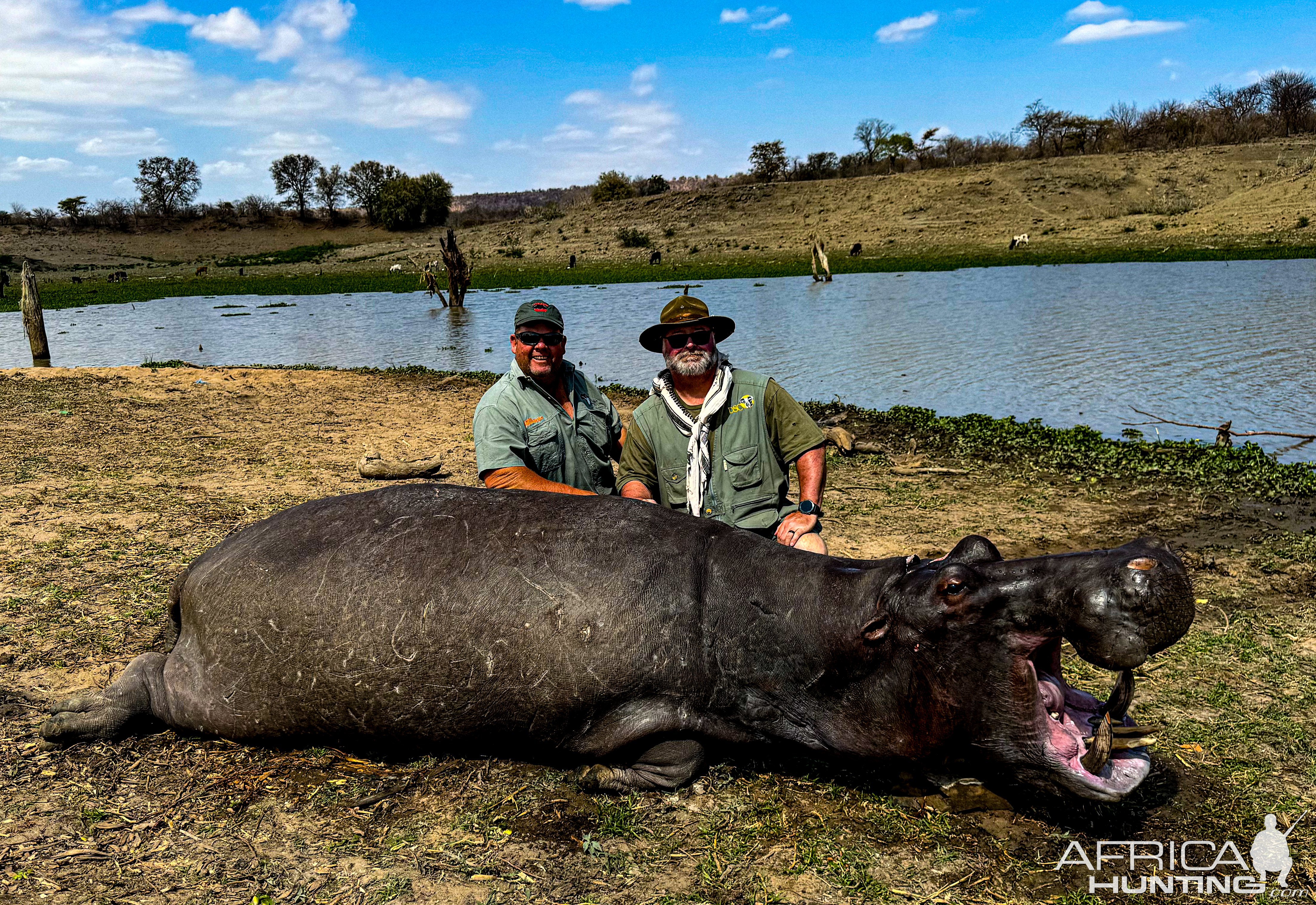 Hippo Hunt Zimbabwe