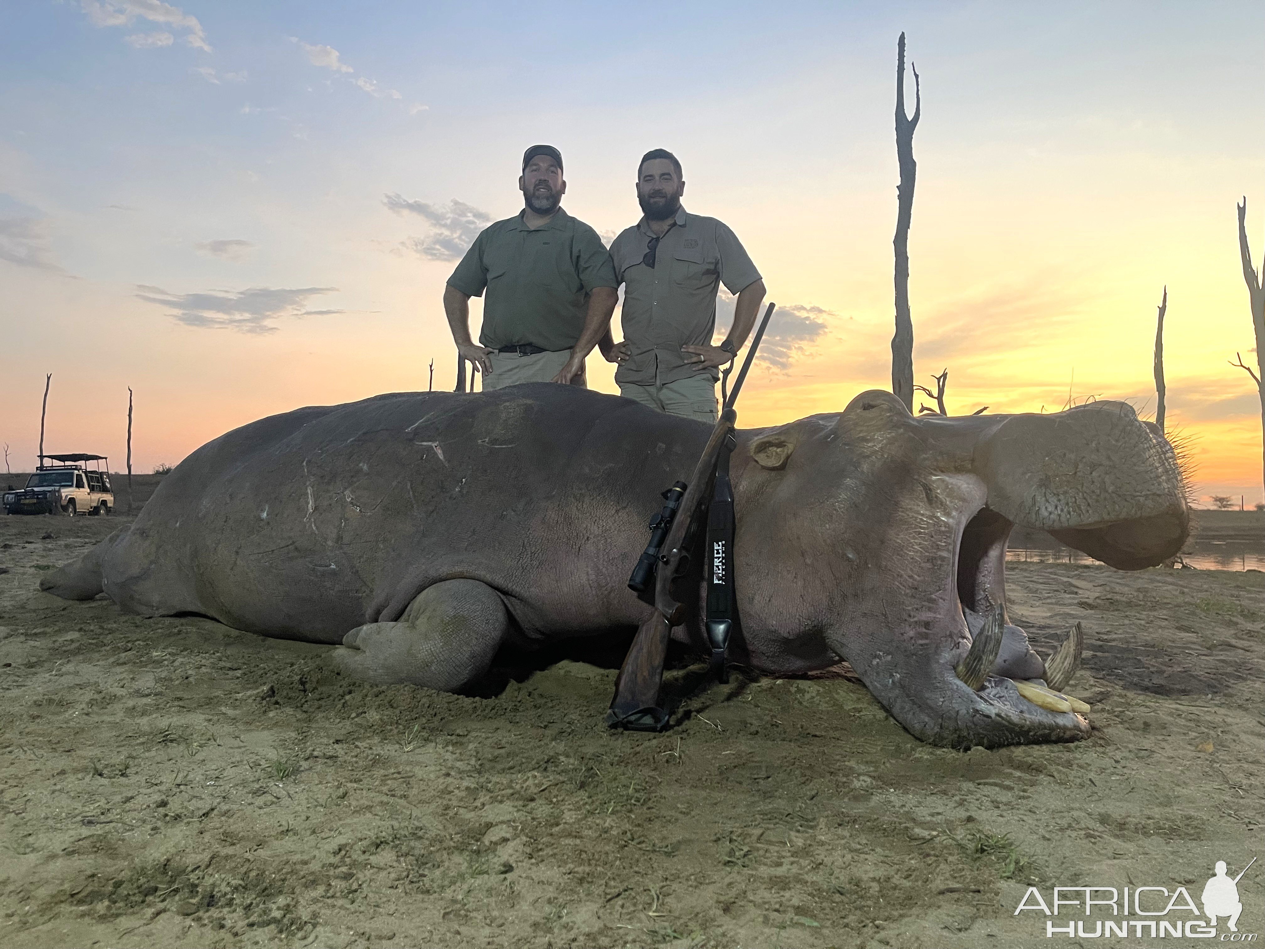 Hippo Hunt Zimbabwe