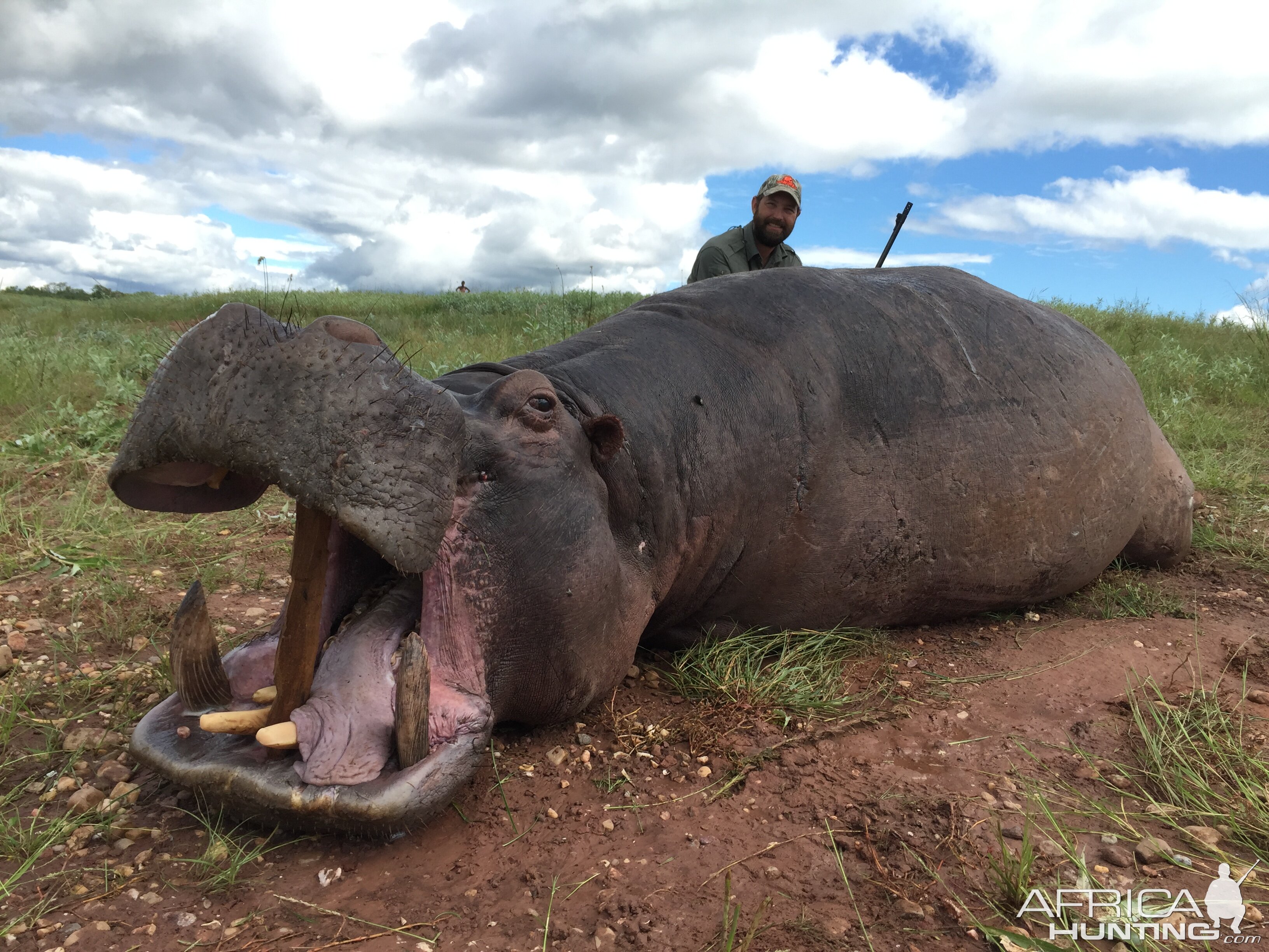 Hippo Hunt Zimbabwe