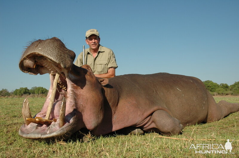 Hippo Hunt Zimbabwe