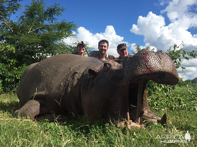 Hippo Hunt