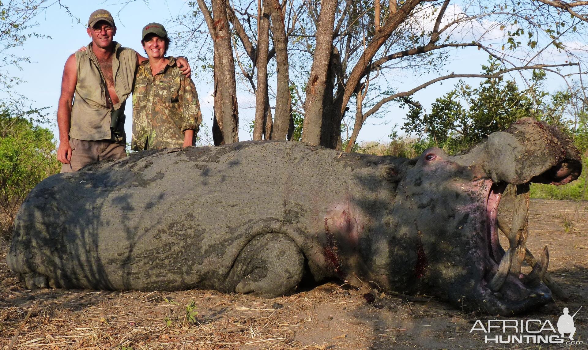 Hippo hunted in the Selous, Tanzania