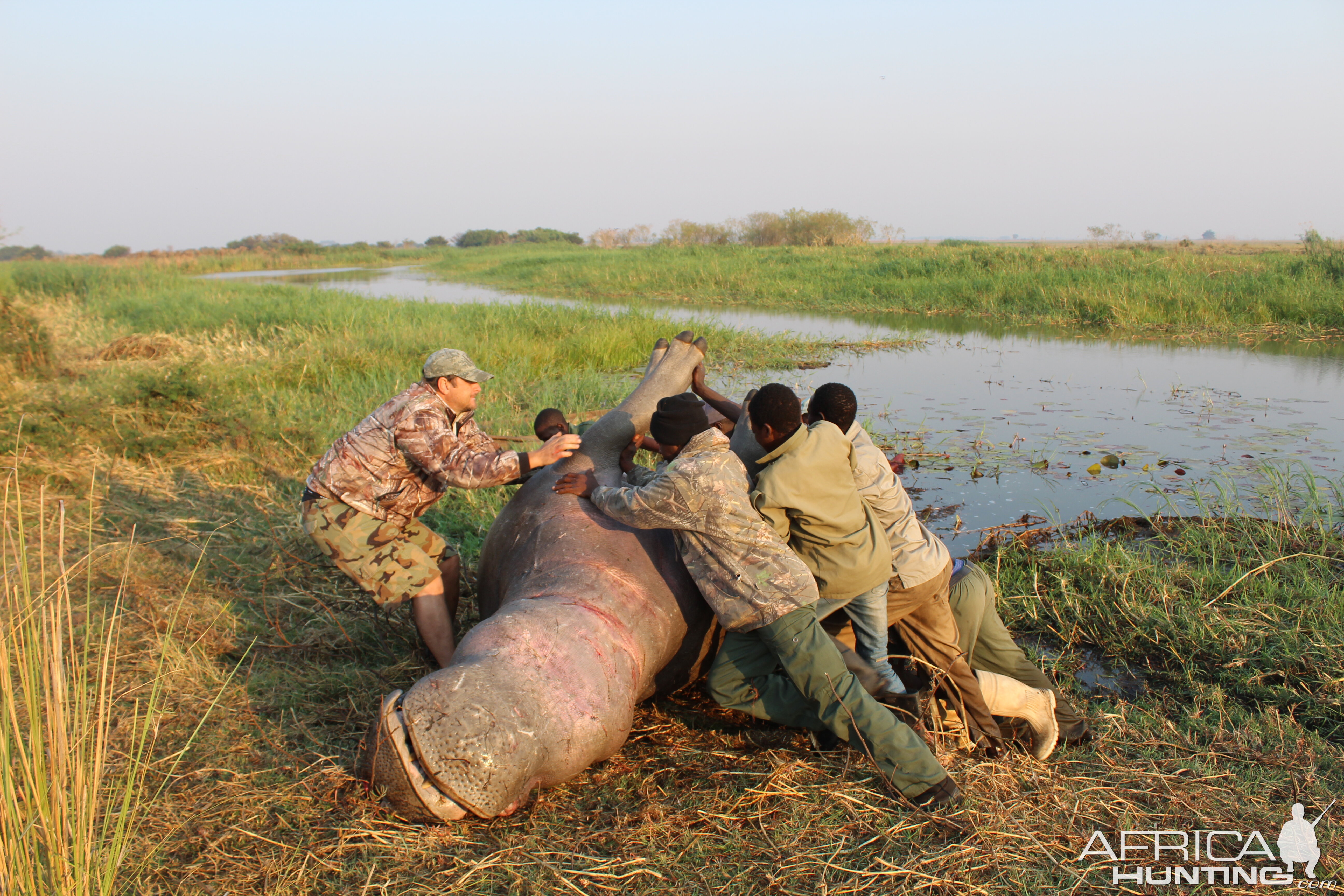 Hippo Hunting in Namibia