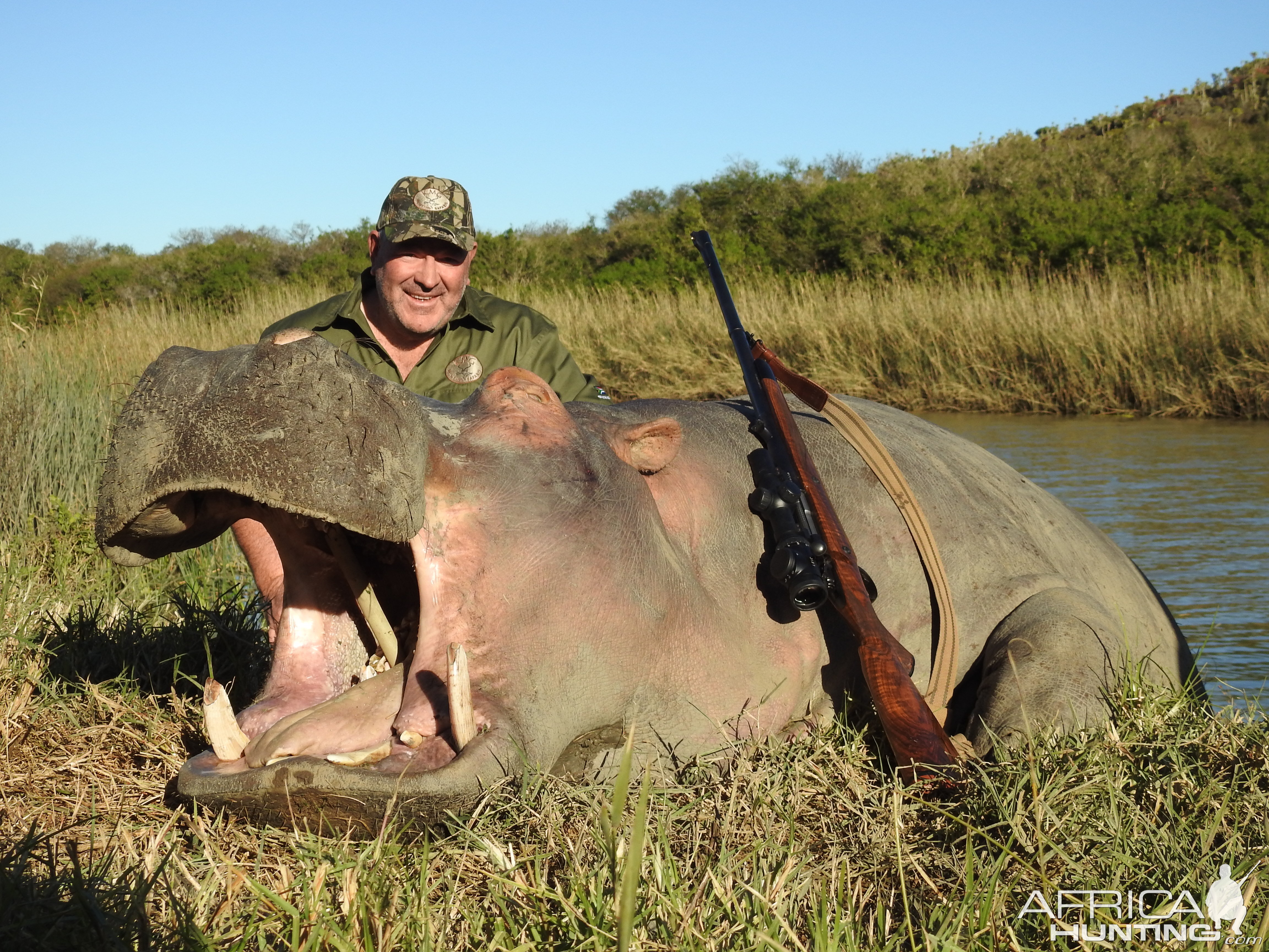 Hippo Hunting in South Africa