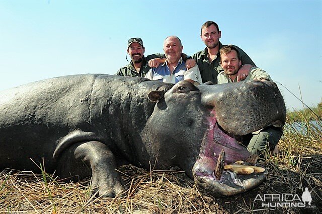 Hippo Hunting Namibia