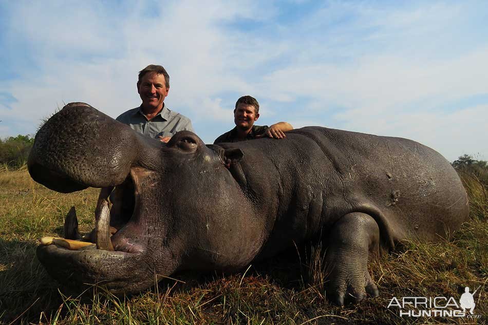 Hippo Hunting Namibia