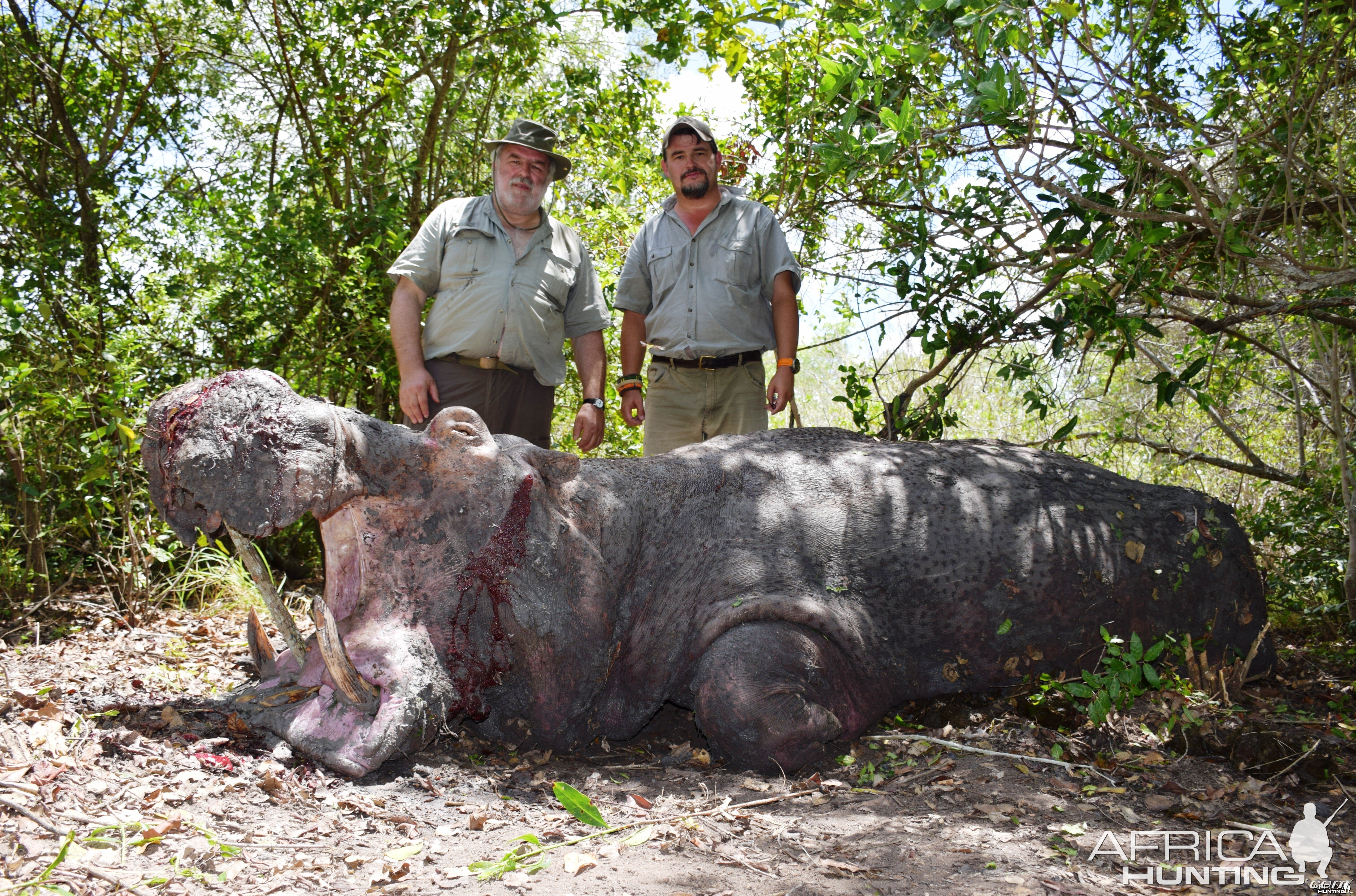 Hippo Hunting Selous 2014