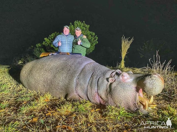 Hippo Hunting South Africa