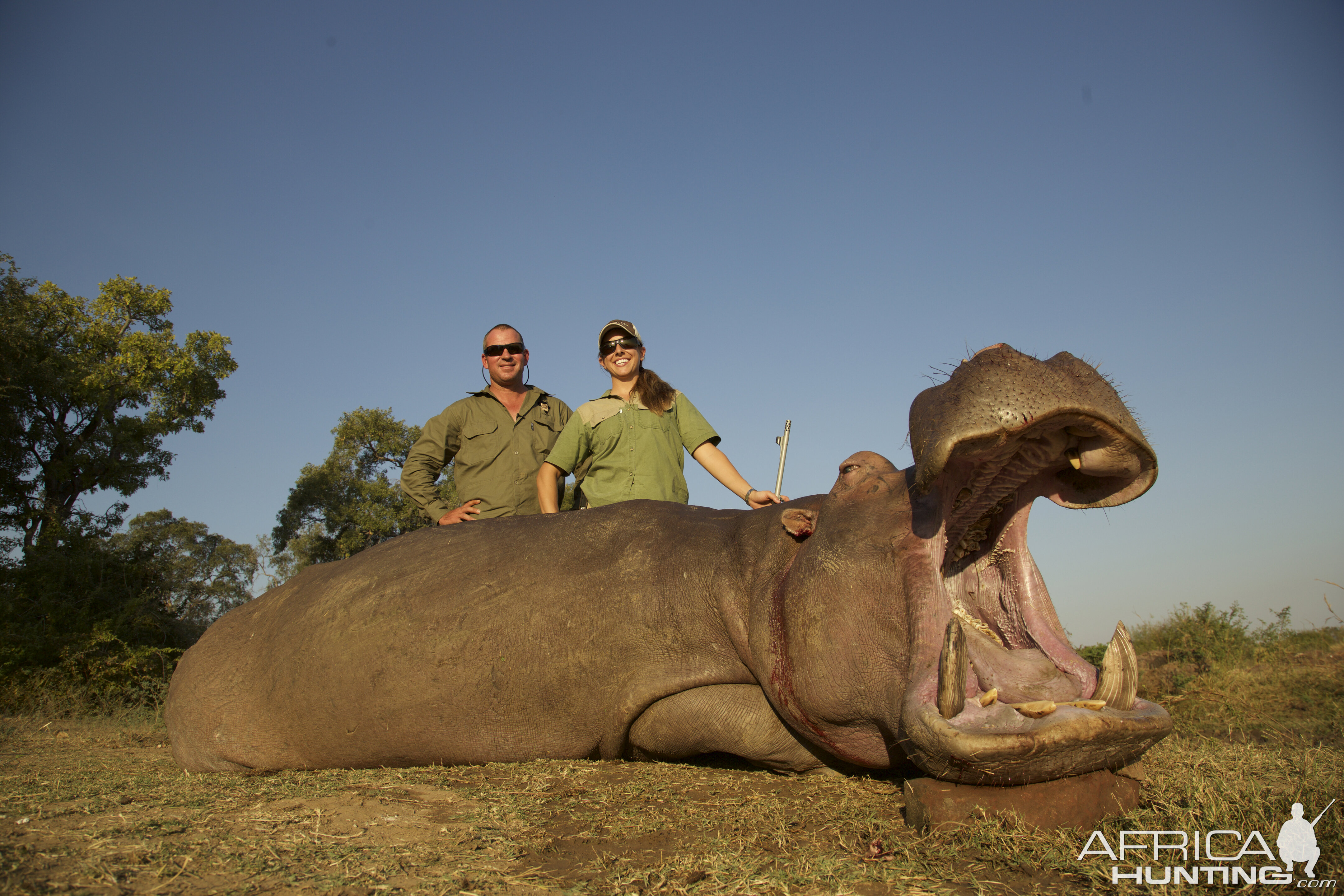 Hippo Hunting Zimbabwe