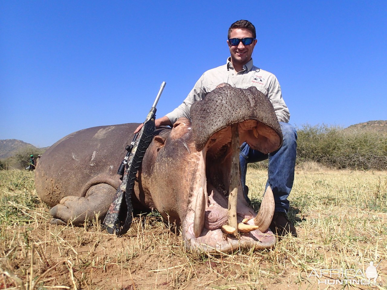 Hippo Hunting