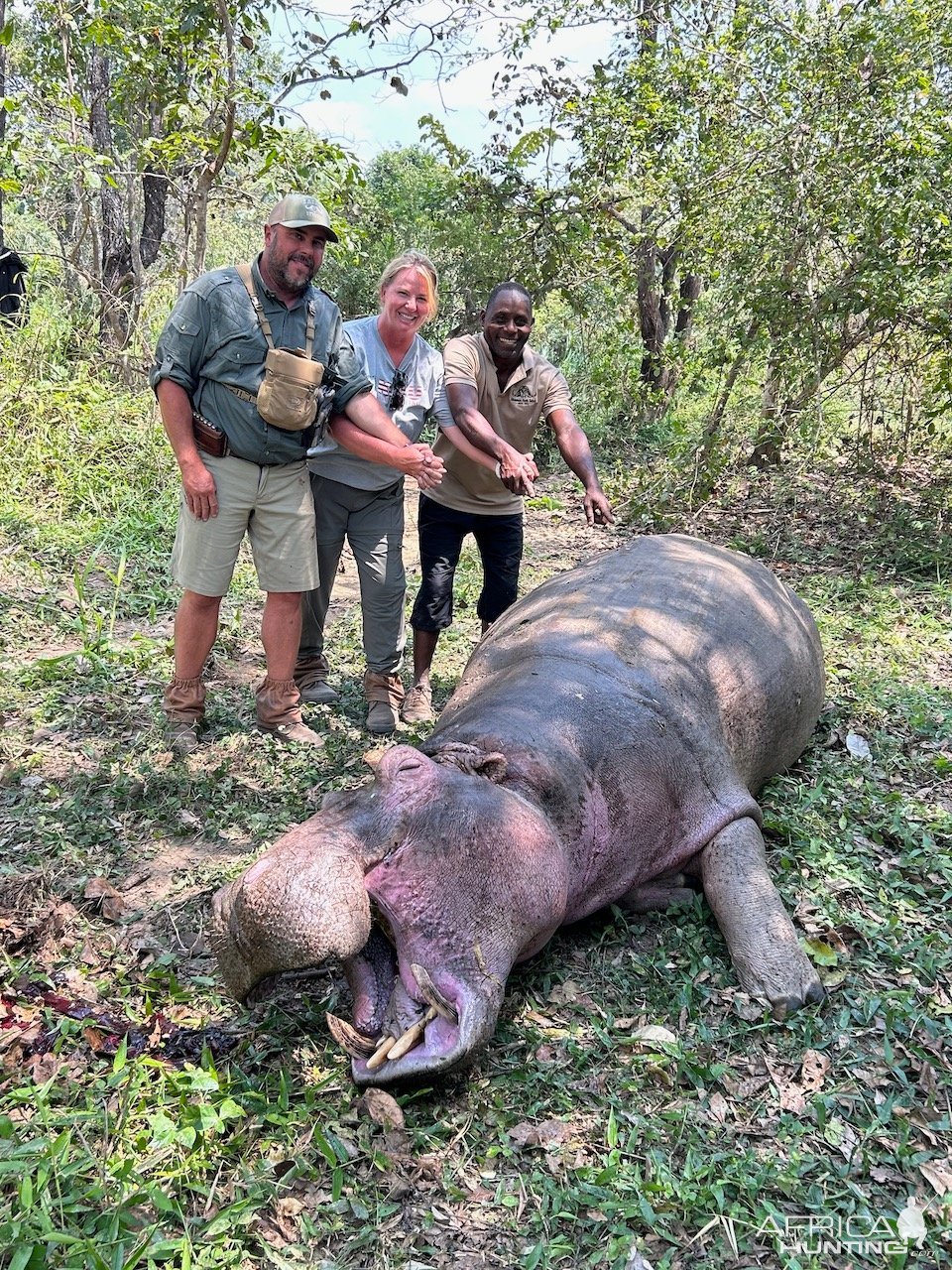 Hippo Hunting