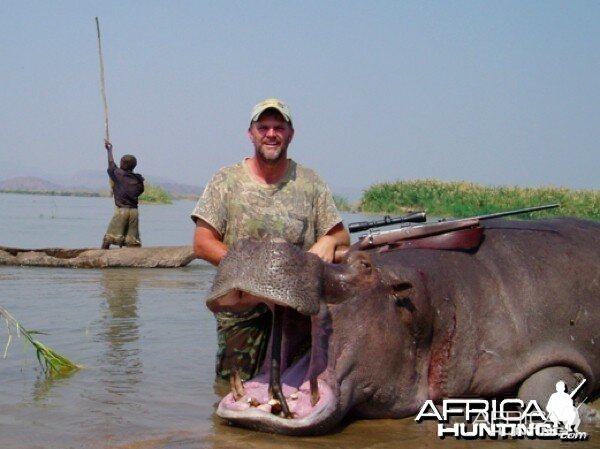 Hippo Mozambique