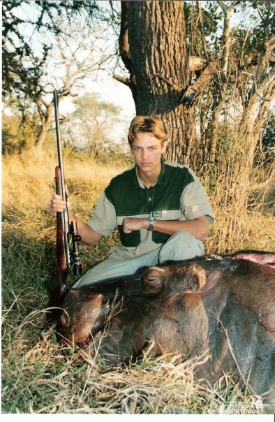 Hippo, Mozambique