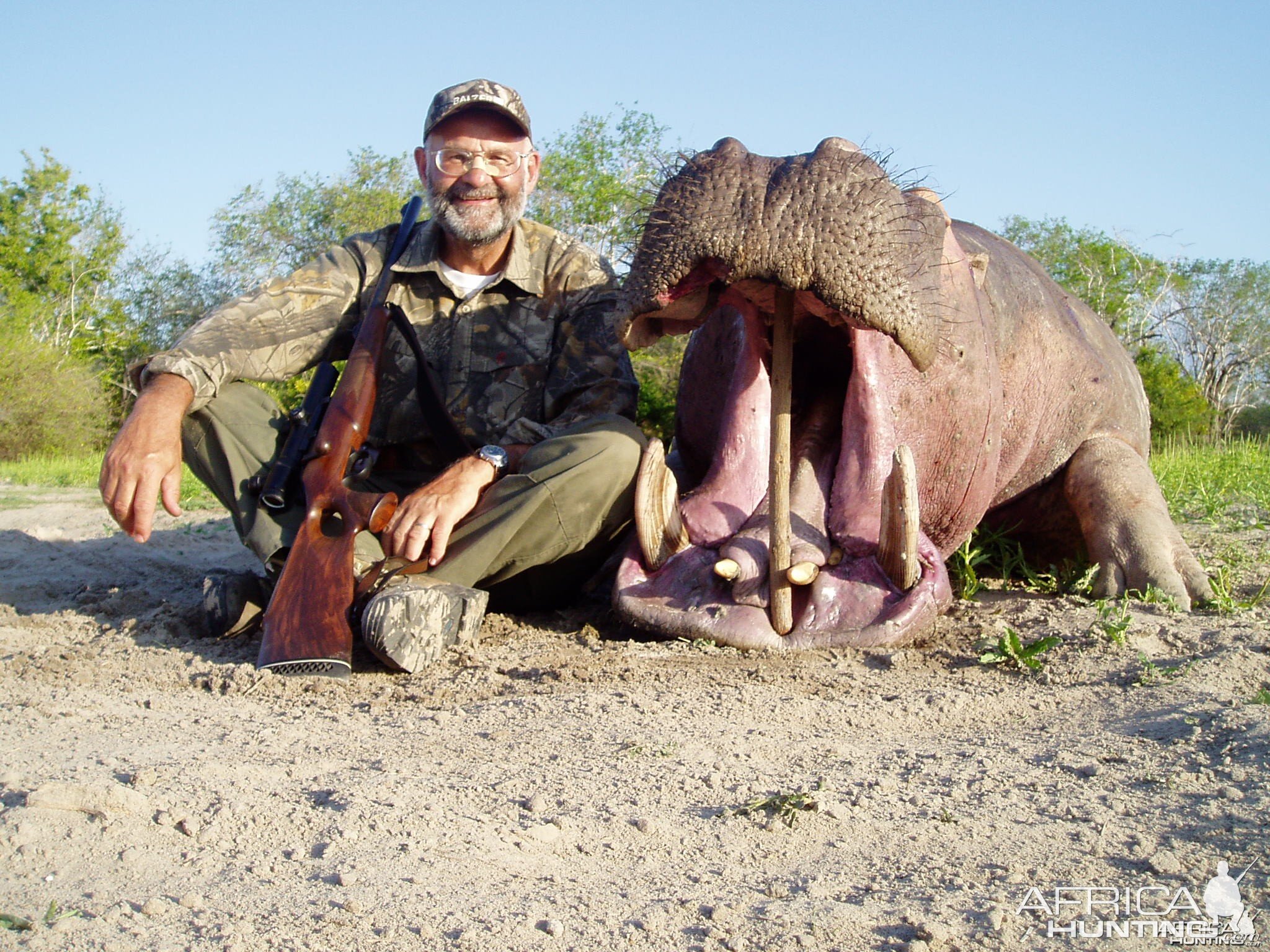 Hippo Selous Utunge Lake