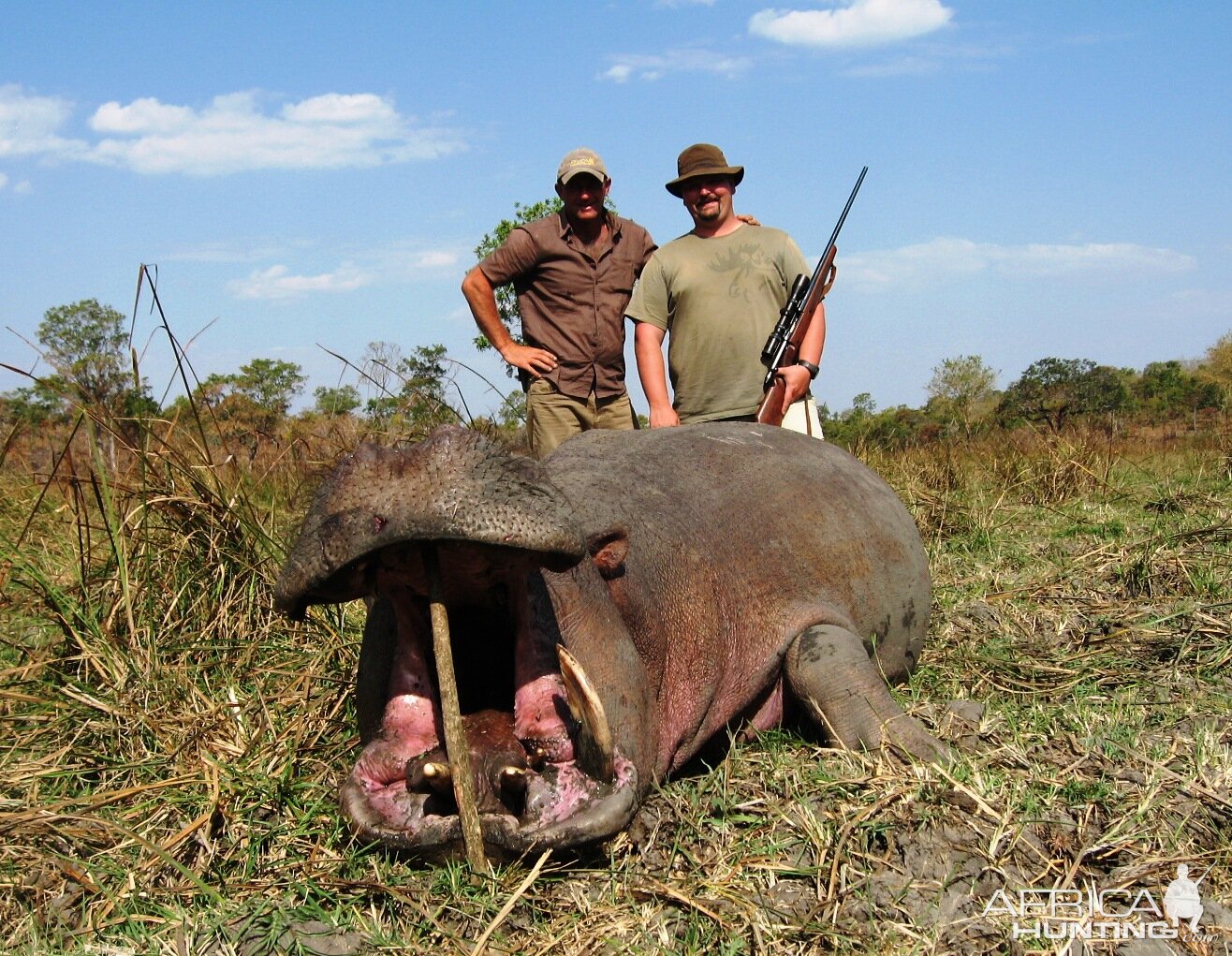 Hippo shot while running... Tanzania