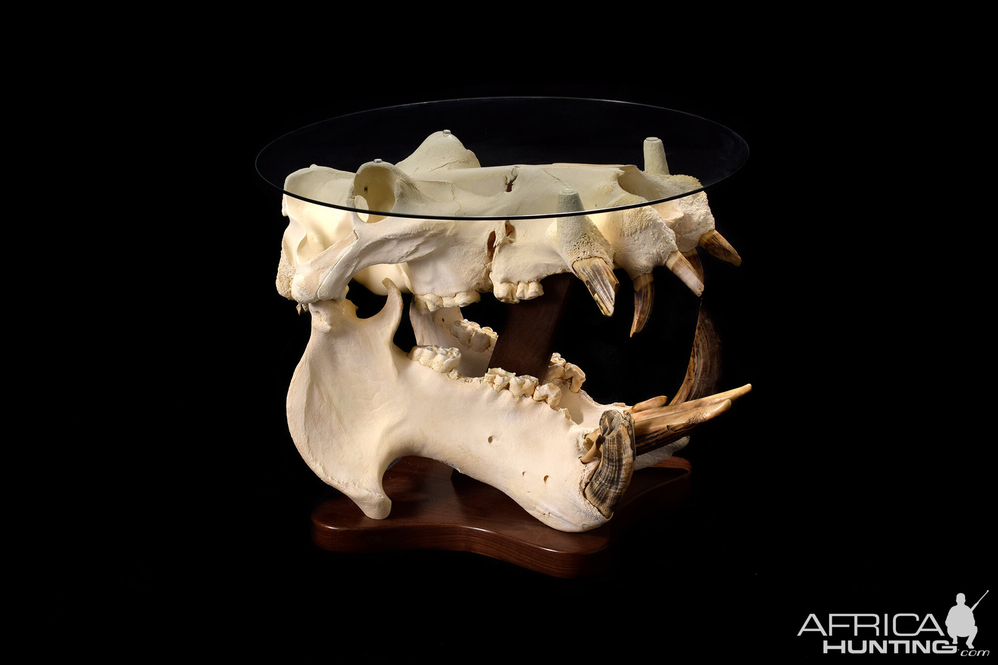 Hippo Skull Table