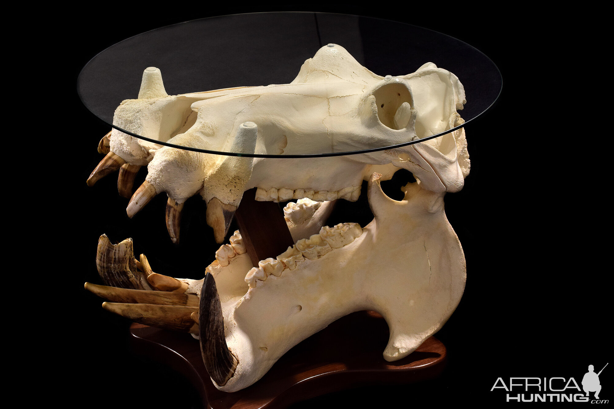 Hippo Skull Table