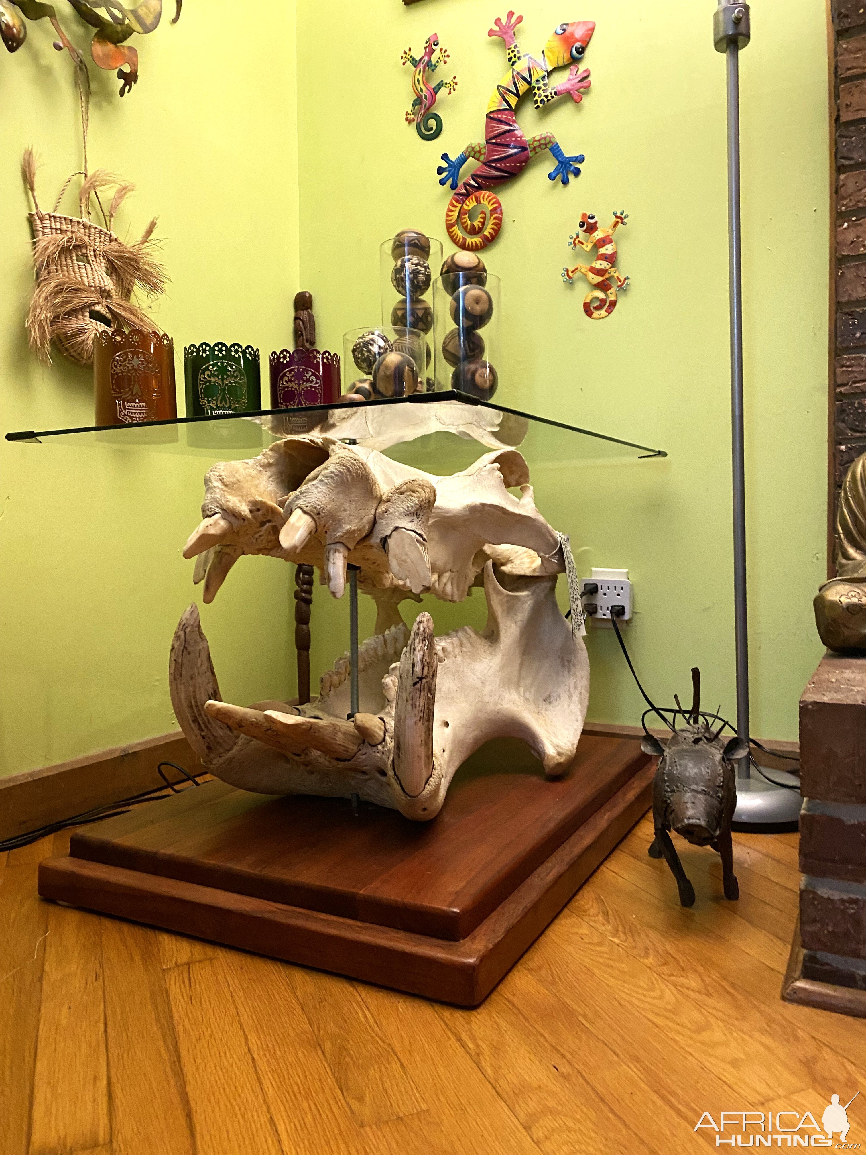 Hippo Skull Table