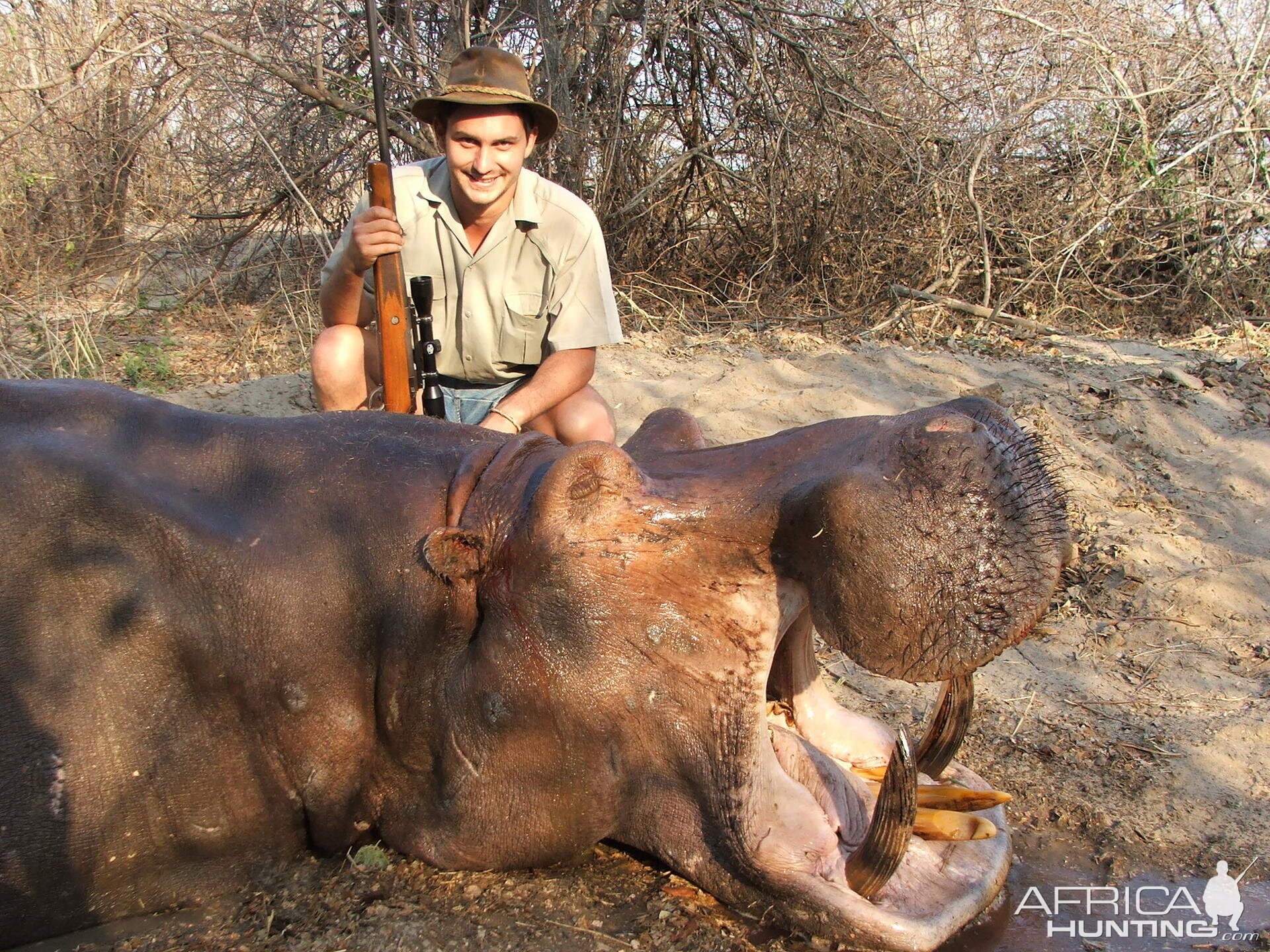 Hippo Zambia